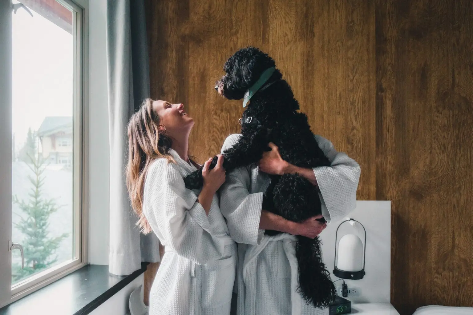 Dog-friendly Aava Whistler Hotel