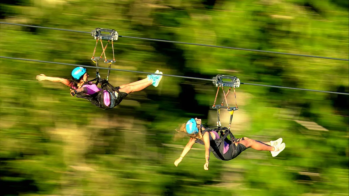 Zip Trek Ecotours Whistler — zipline adventure